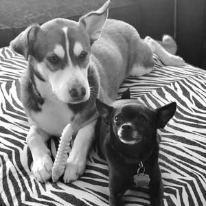 Meet your Posher, Adam